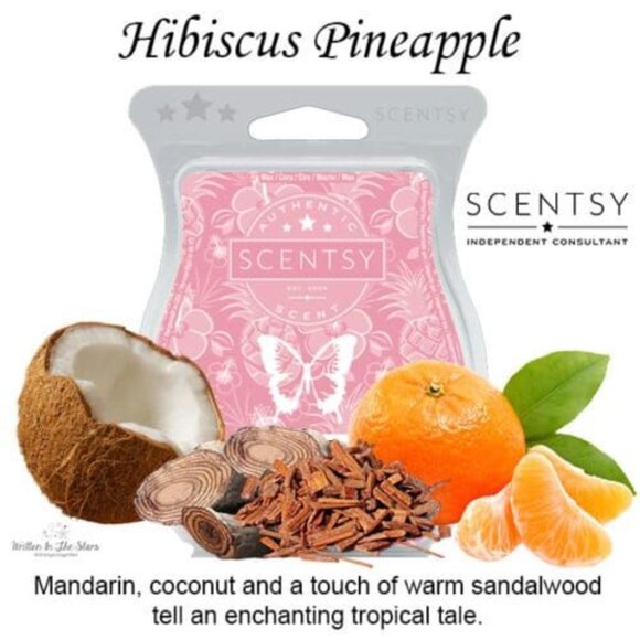 Hibiscus Pineapple Body Cream - MIX & MATCH 3 for $30 - Picture 2 of 5